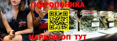 СК Кандалакша