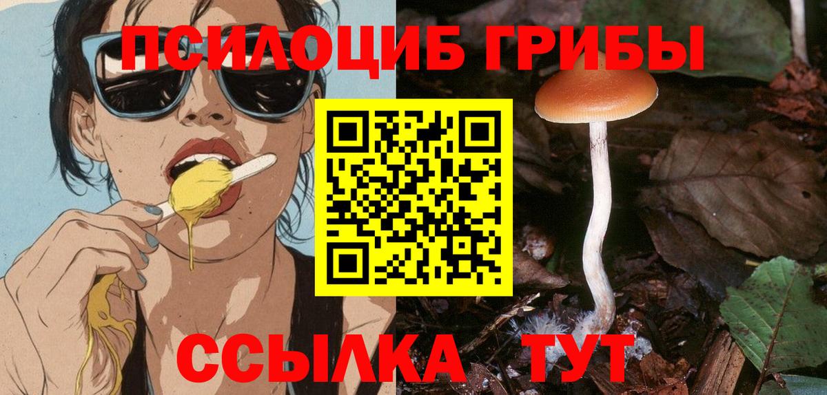 Галлюциногенные грибы прущие грибы  Псилоцибиновые грибы Psilocybine cubensis  Вход с VPN  Карпинск 